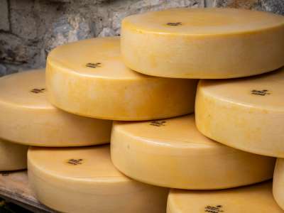 2209_gailtaleralmkaese