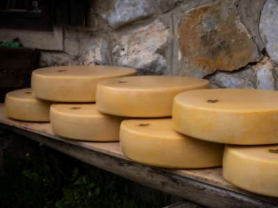 2209_gailtaleralmkaese