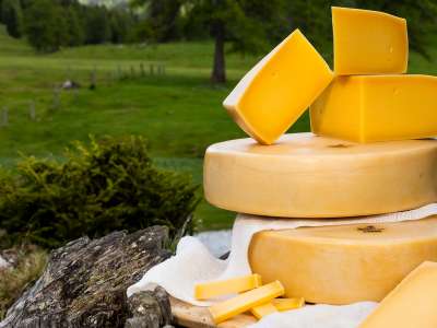 2209_gailtaleralmkaese