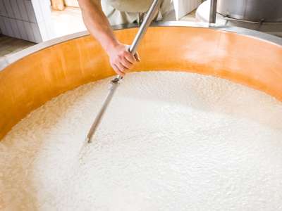 2209_gailtaleralmkaese